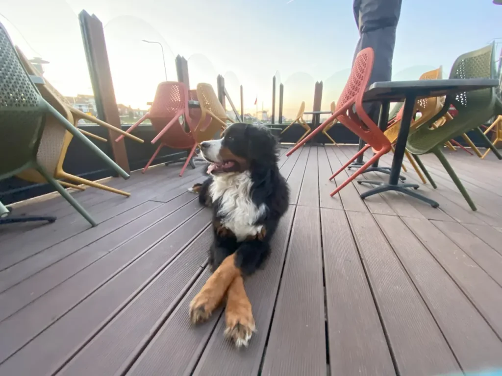 Terras en omgeving aan de haven